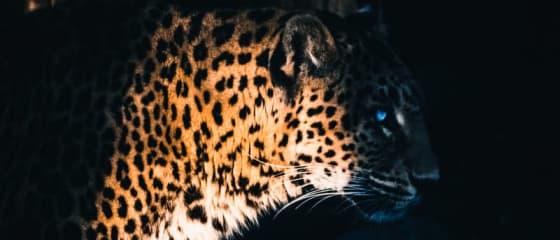 Yggdrasil partnerji ReelPlay izdajajo Jaguar SuperWays iz Bad Dinga